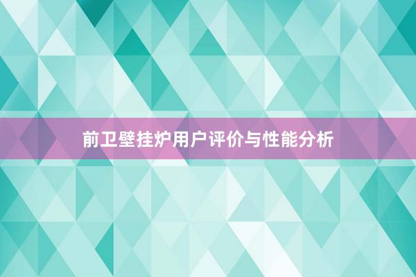 前卫壁挂炉用户评价与性能分析